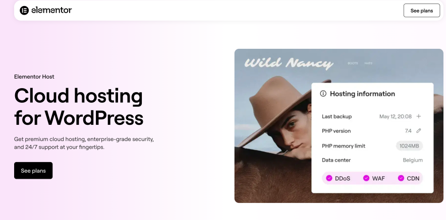 4. Elementor WordPress Hosting