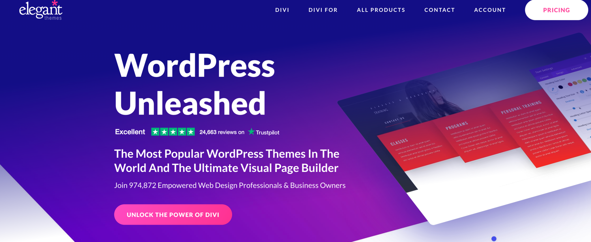 Divi theme