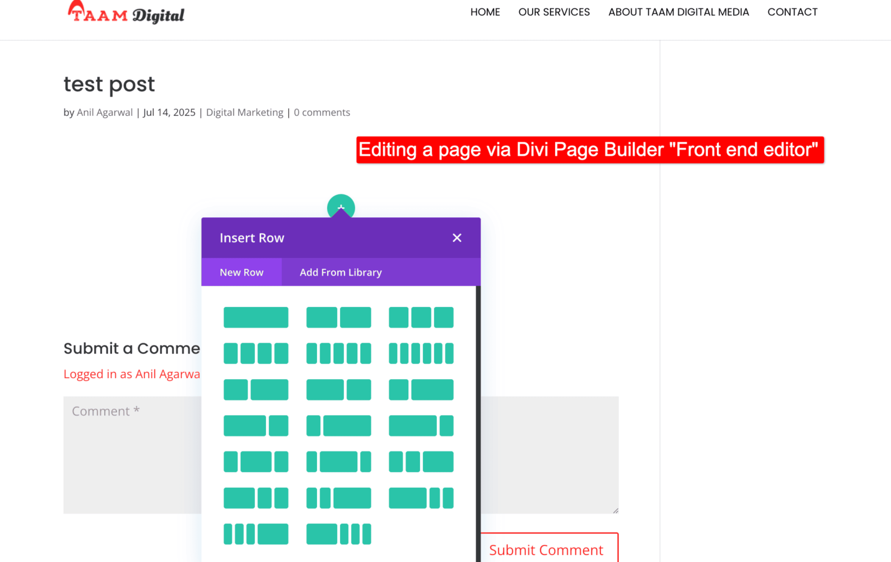 front editor options in divi