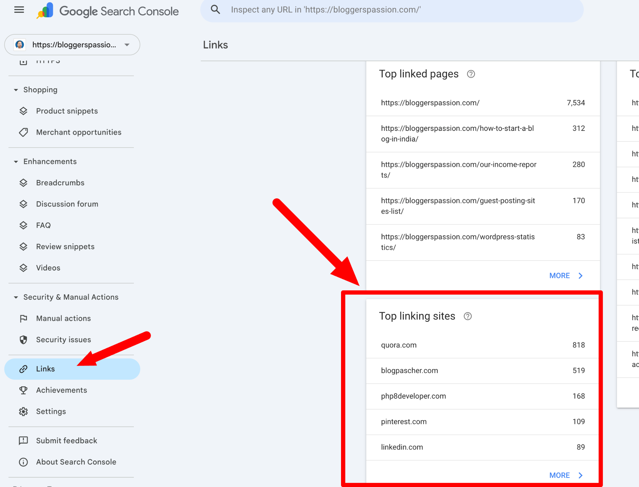 google search links