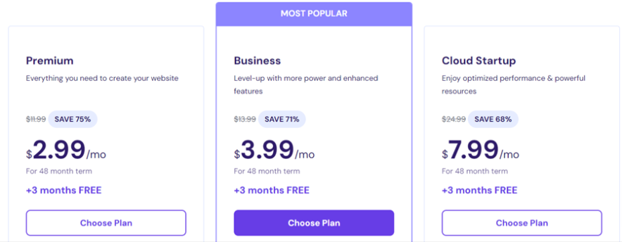 Step 2: Choose a Hosting Plan