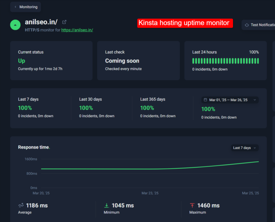 kinsta hosting uptime result