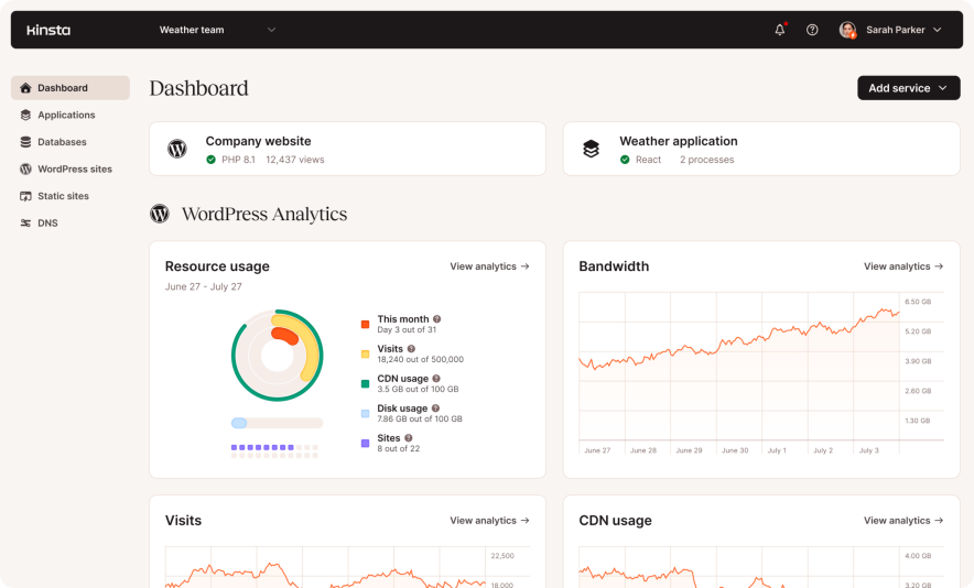 kinsta user interface