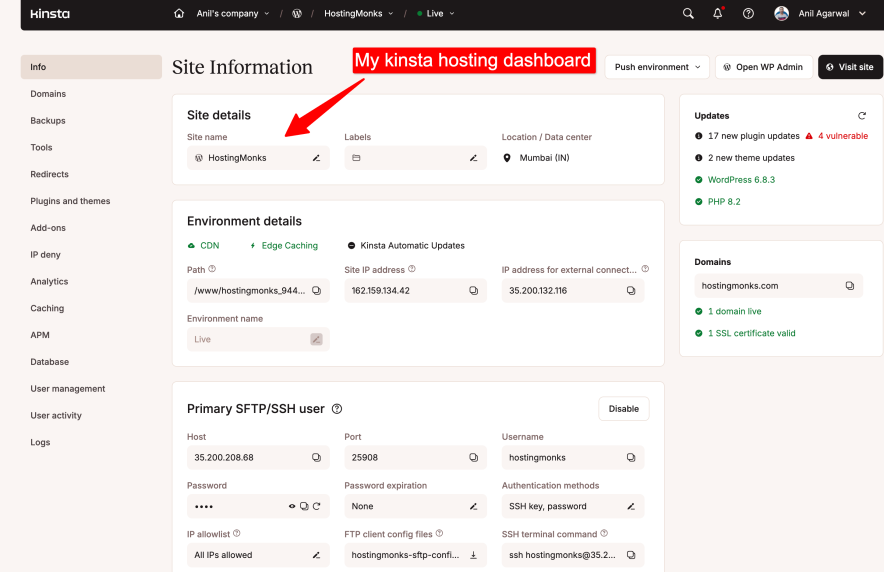 my kinsta hosting dashboard