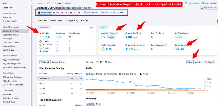 semrush domain overview report