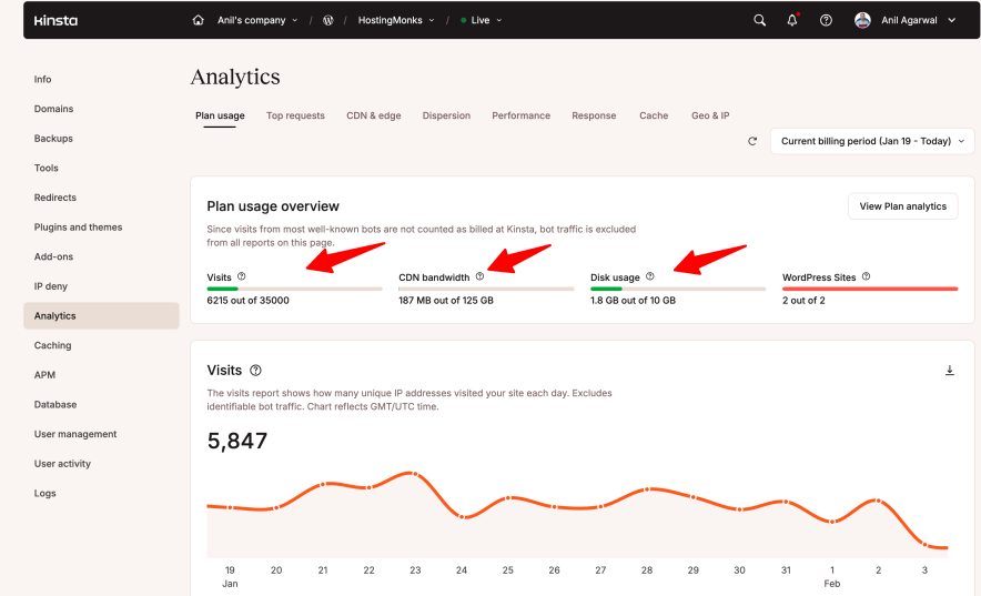 site usage details shown in kinsta analytics dashboard