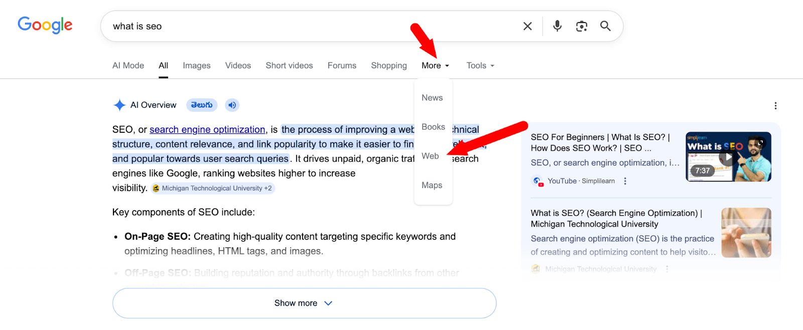 web search
