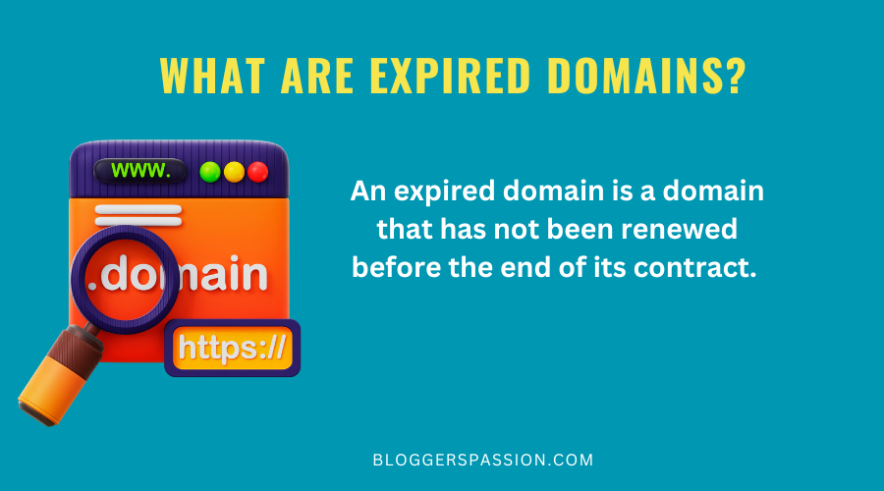What Are Expired Domains?
