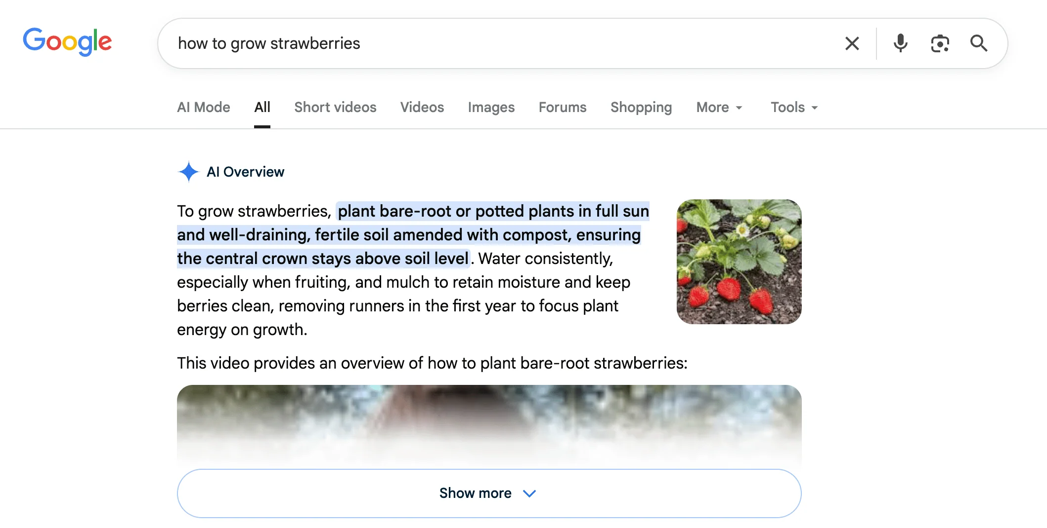 ai summaries