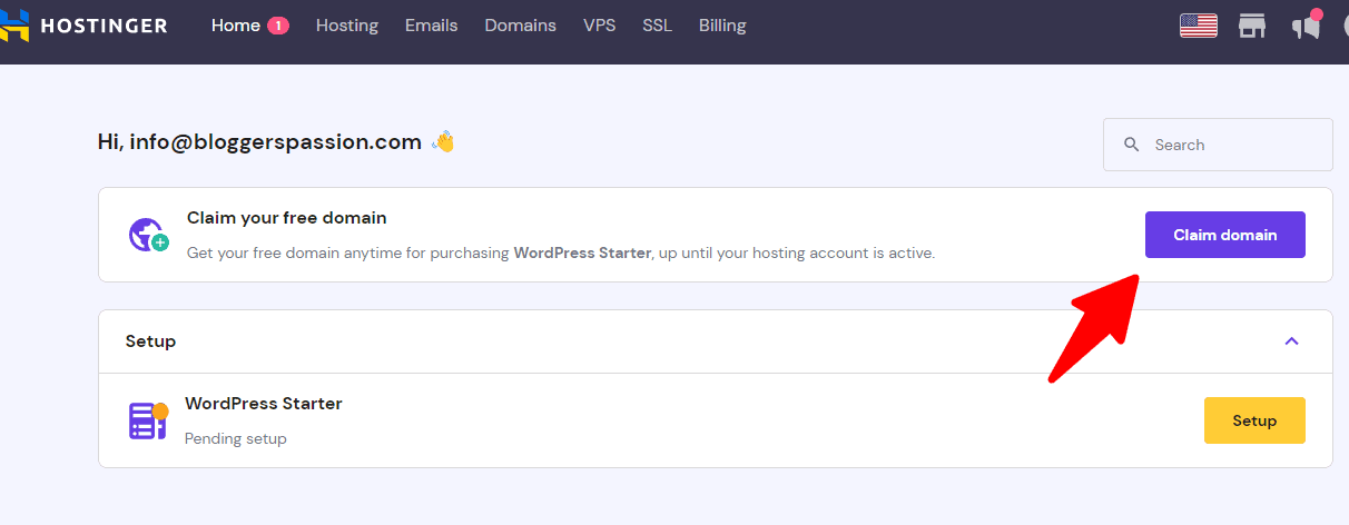 Hostinger domain