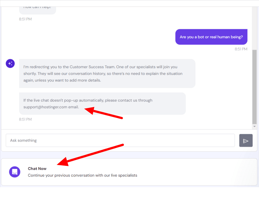 hostinger live chat support access