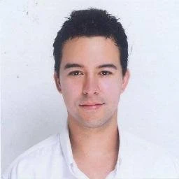 matt diggity seo