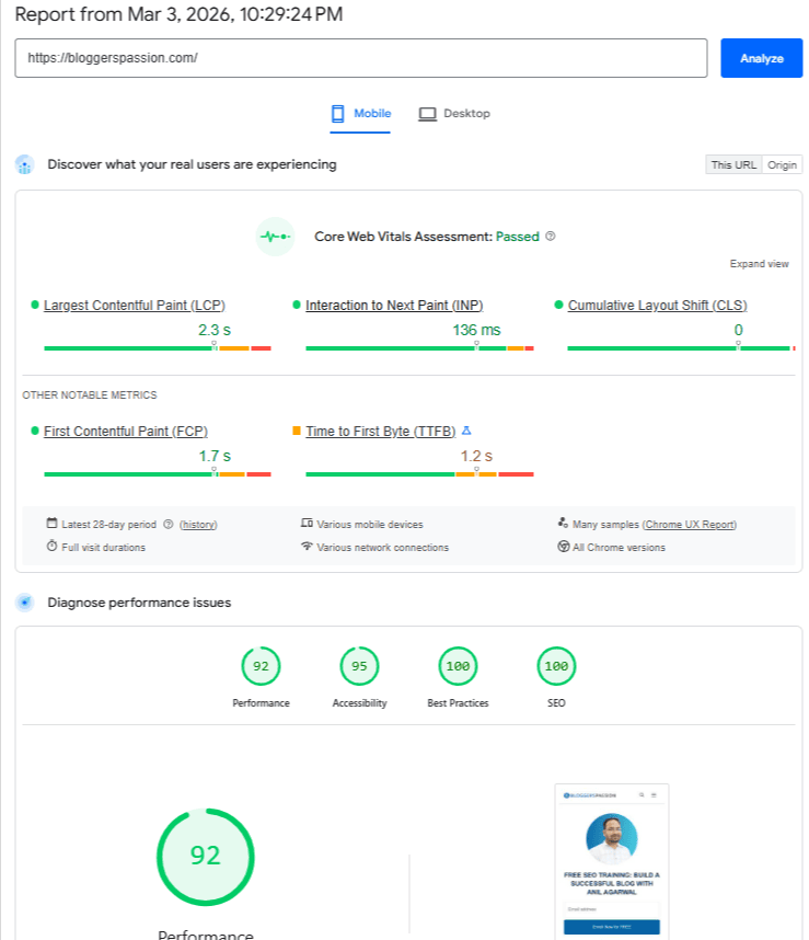 PageSpeed Insights Report